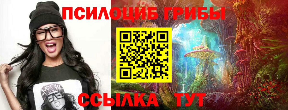 Кыштым  Галлюциногенные грибы Cubensis  Вход с VPN 