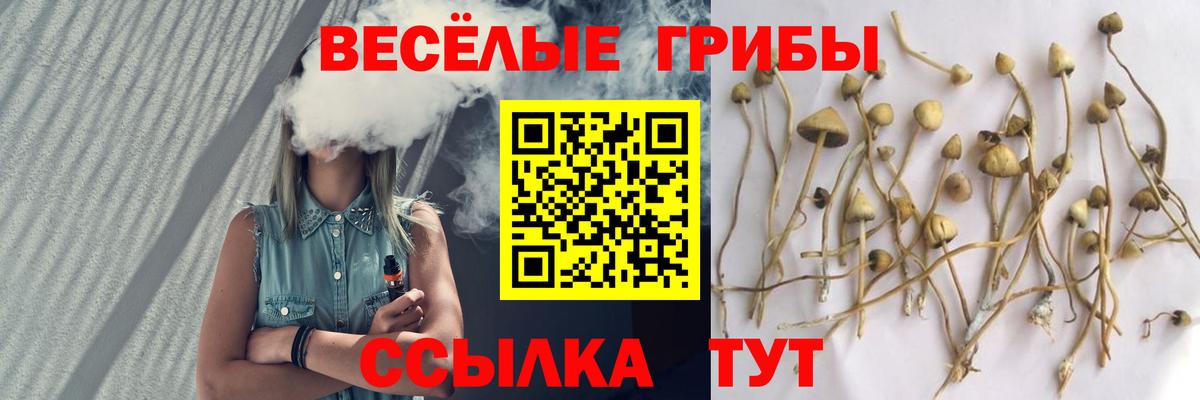 Галлюциногенные грибы прущие грибы Кыштым